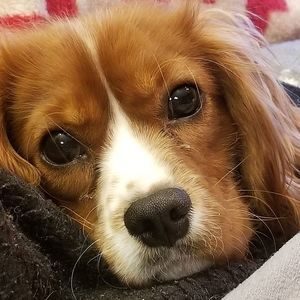 Meet your Posher, Leeann